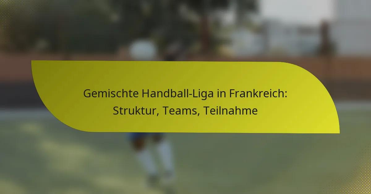 Gemischte Handball-Liga in Frankreich: Struktur, Teams, Teilnahme