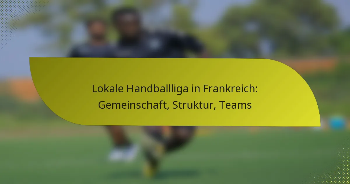 Lokale Handballliga in Frankreich: Gemeinschaft, Struktur, Teams