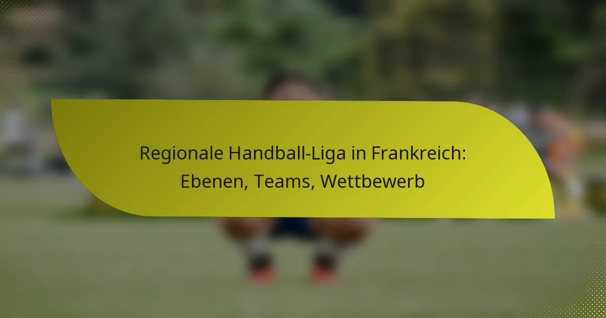 Regionale Handball-Liga in Frankreich: Ebenen, Teams, Wettbewerb