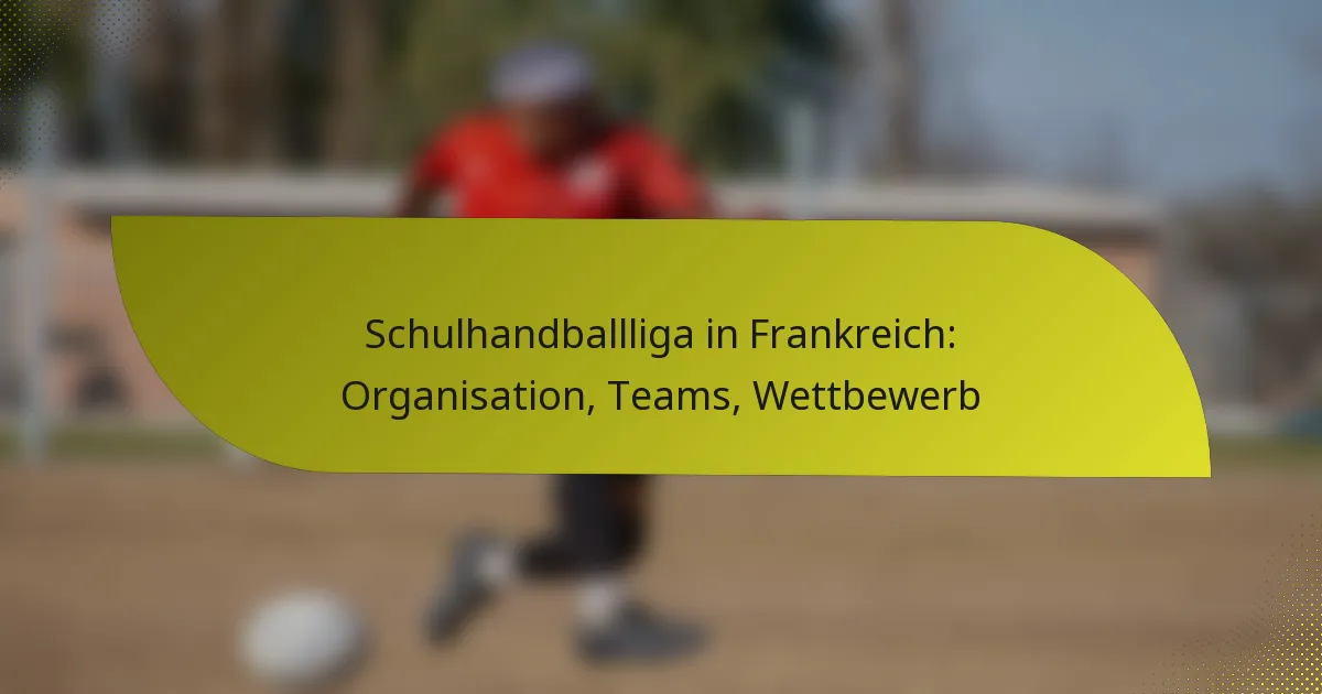 Schulhandballliga in Frankreich: Organisation, Teams, Wettbewerb