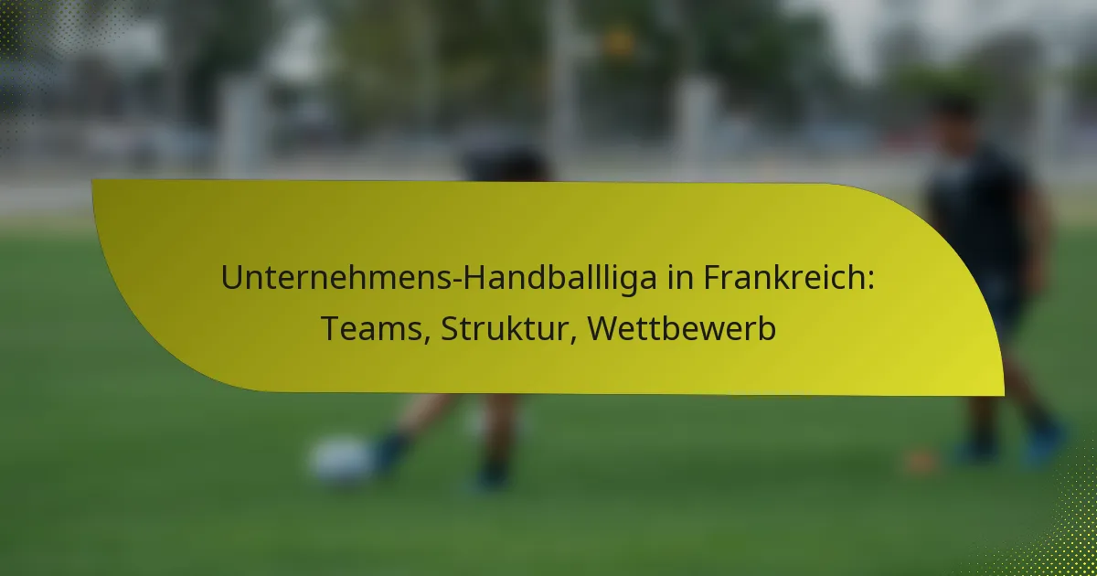 Unternehmens-Handballliga in Frankreich: Teams, Struktur, Wettbewerb