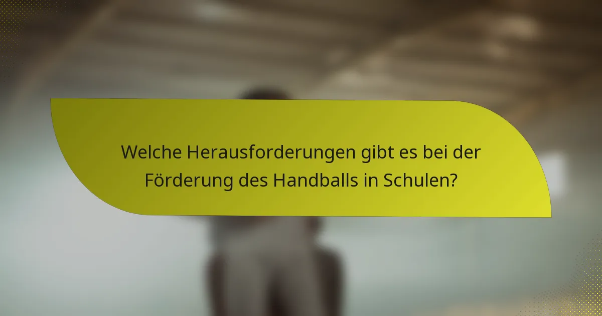Welche Herausforderungen gibt es bei der Förderung des Handballs in Schulen?