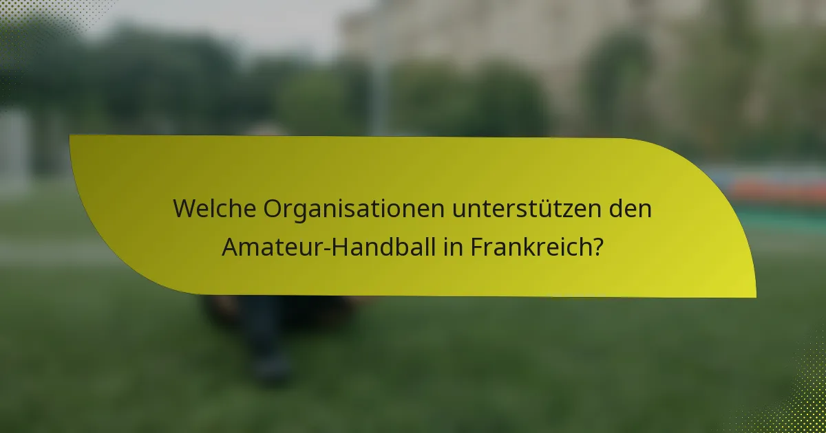 Welche Organisationen unterstützen den Amateur-Handball in Frankreich?