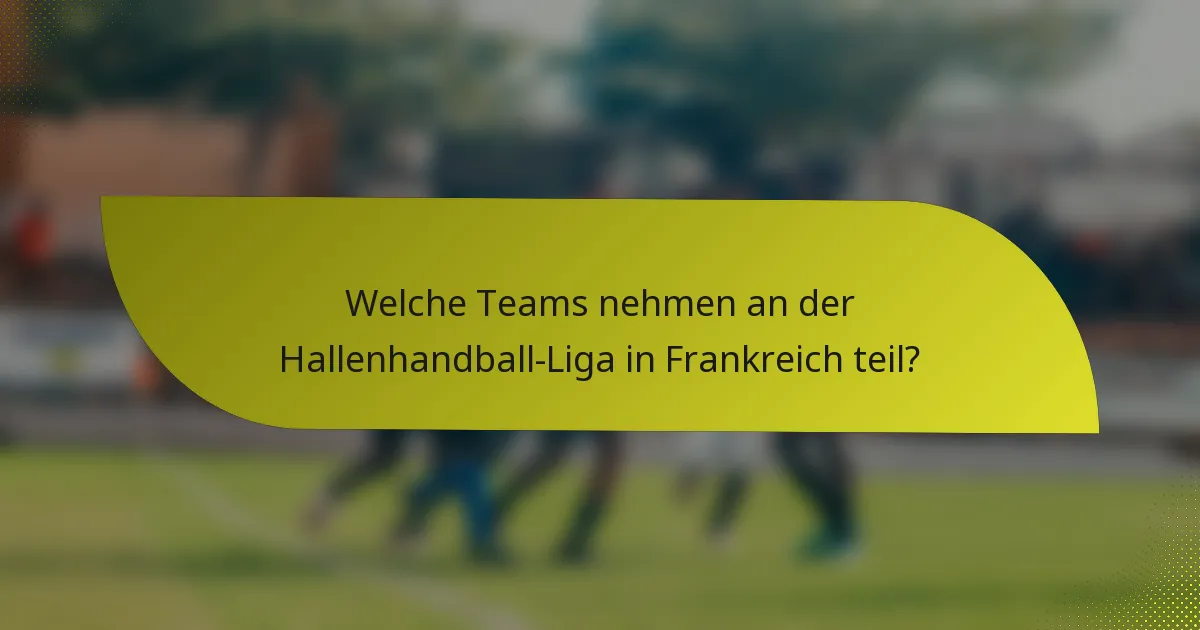 Welche Teams nehmen an der Hallenhandball-Liga in Frankreich teil?