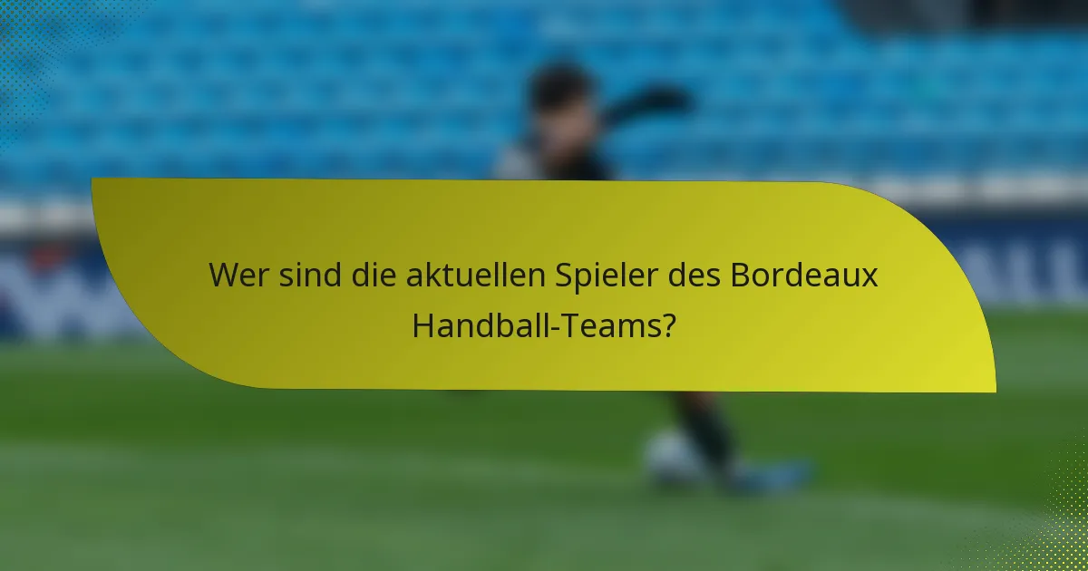 Wer sind die aktuellen Spieler des Bordeaux Handball-Teams?