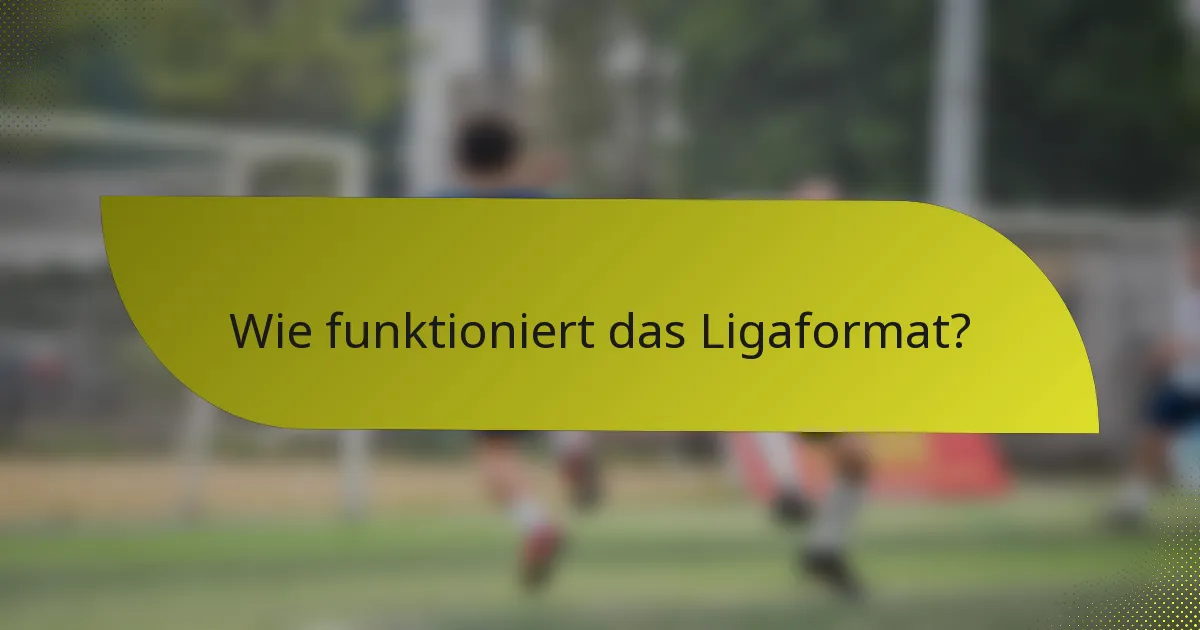 Wie funktioniert das Ligaformat?
