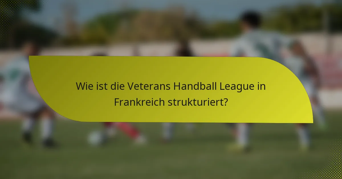 Wie ist die Veterans Handball League in Frankreich strukturiert?