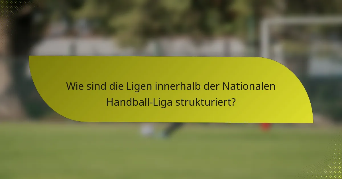Wie sind die Ligen innerhalb der Nationalen Handball-Liga strukturiert?